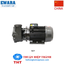 MÁY BƠM HỒ BƠI ĐẦU NHỰA EWARA WP 300IT 3HP 