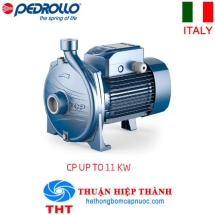 MÁY BƠM LY TÂM 1 TẦNG CÁNH PEDROLLO CPm 190 - 2HP - 220V 