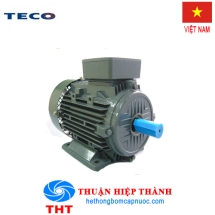 MOTOR ĐIỆN CHÂN ĐẾ/MẶT BÍCH TECO 4 POLE - 380V